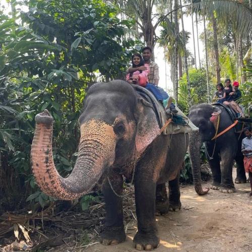 280259407 145618471337882 520814649575378661 n